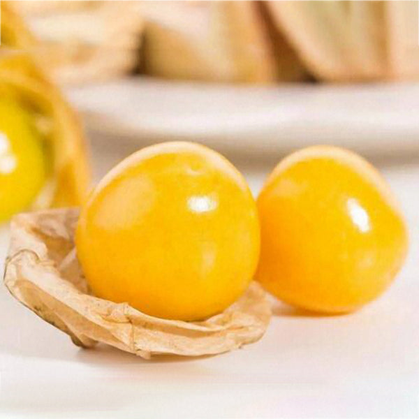 Egrow 20Pcs/pack Physalis Seeds Garden Fruit Flower Latern Golden Berry Tree Seeds