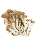 Egrow 50 Pcs/Pack Edible Health Mushrooom Seeds Orangic Vegetable Plants Seeds