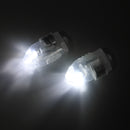 50PCS Mini White Coloful LED Ball Holiday Light for Wedding Party Birthday Festival Home Decoration