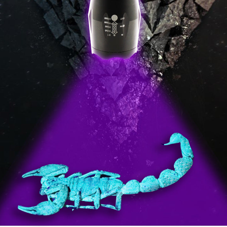 XANES UV05 2xT6 LEDs Purple+White Light Zoomable UV Flashlight Scorpion Insect Detection Pen