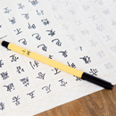 XIAOMI YOUPIN Self-supplied Ink Brush Pen for Chinese Calligraphy Practice Pen School Student Stationery Art Landscape Painting Supplies