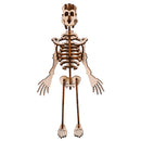 DIY Human Bone Model Intelligence Training Building Block Human Bone Model Blocks Toys