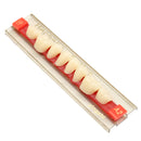 3 Set 84*1 A2 Color Denture Dental Acrylic Resin Teeth Upper + Lower Shade