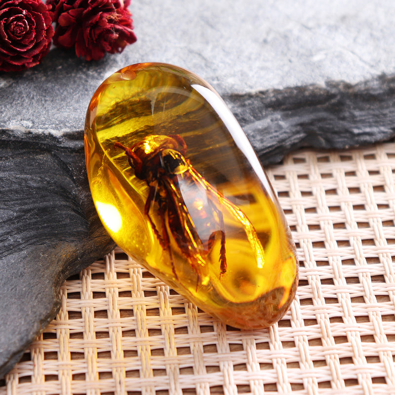Beautiful Amber Hornet Petrifaction Insects Manual Polishing Insect Specimens Home Decorations