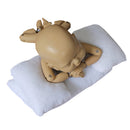 3PCS Baby Photo Shoot Posing Pillow Newborn Baby Photography Props Beanie