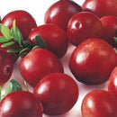 Egrow50Pcs/Bag Wild Cranberry Seeds Vaccinium Cherry Bearberry Fruit Seeds Blueberry Garden Seeds