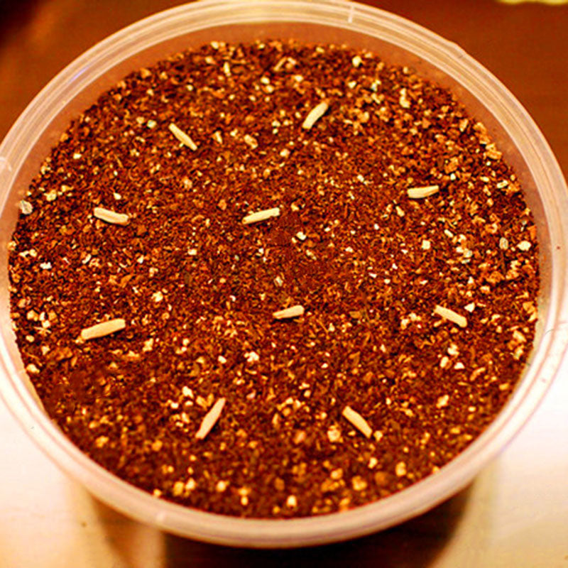 Egrow 5PC/Pack Rose Seeds Real Adenium Obesum Flores Desert Rose Flower Plantas Home Garden Bonsai Succulent Plants