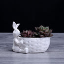 Rabbit Basket Shape Pot Succulent Planter Herb Flower Gardening Box Case Decor