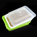 Seed Sprouter Tray Free PP Soil-Free Big Capacity Healthy Wheatgrass Grower Planting Grow Box