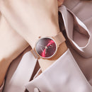 GIMTO GM270 Simple Two-pin Design Dial Rose Gold Mesh Steel Strap Fashion Women Quartz Watch
