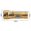 ZANLURE 500 Lumen LED Fishing Flashlight Intelligent Night Fishing Lamp Blue White Lights