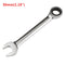 Raitool HT01 Chrome Vanadium Steel Metric Ratchet Spanner Gear Wrench Fixed Head 6-32mm