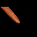 Rosewood Acupoint Stick Portable Wooden Vertebra Massager Household Wooden Acupoint Pen Mahogany Health Care Equipment Manual Massager