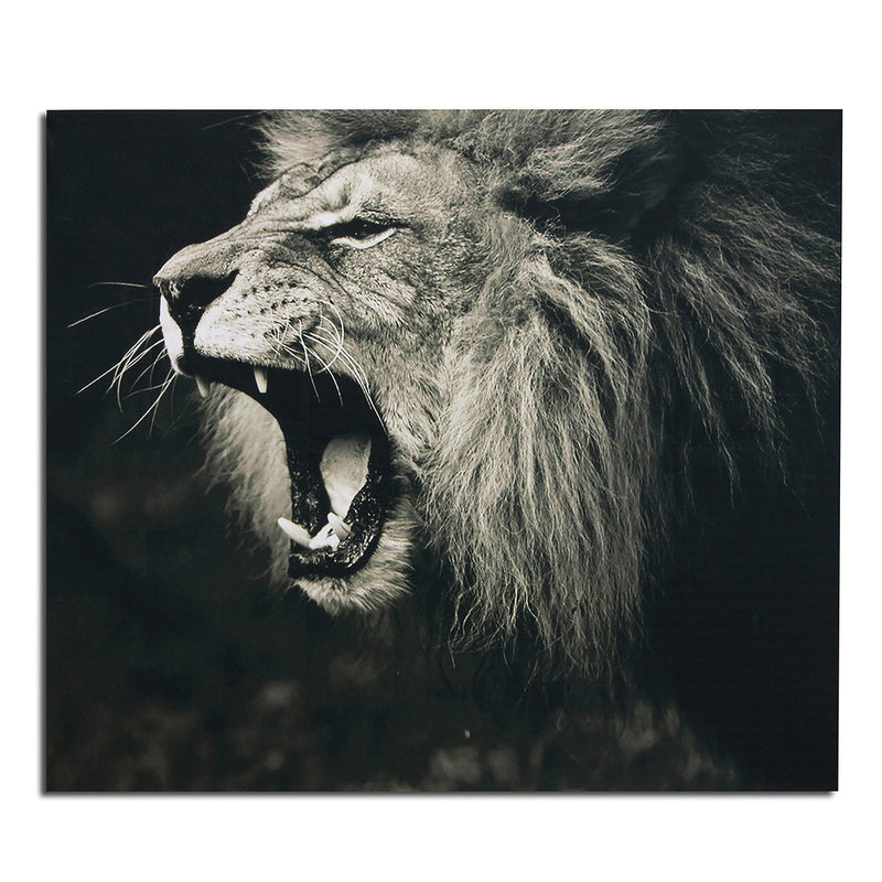 Unframed Lion Animal Painting Silk Cloth Poster Modern Art Picture Wall Sticker Home Decor