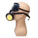 Dual Cartridge Gas Mask Eye Goggle Face Guard Protective Filter Respiratory Tool