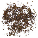 Egrow 100 PCS Blue Lithops Perennial Pseudotruncatella Seeds Kyanite Succulent Garden Plants Seed