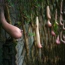 Egrow 50 Pcs/Pack Vietnam Milk Funny Melon Seeds Garden Balcony Vegetable Fruit Plants Seed