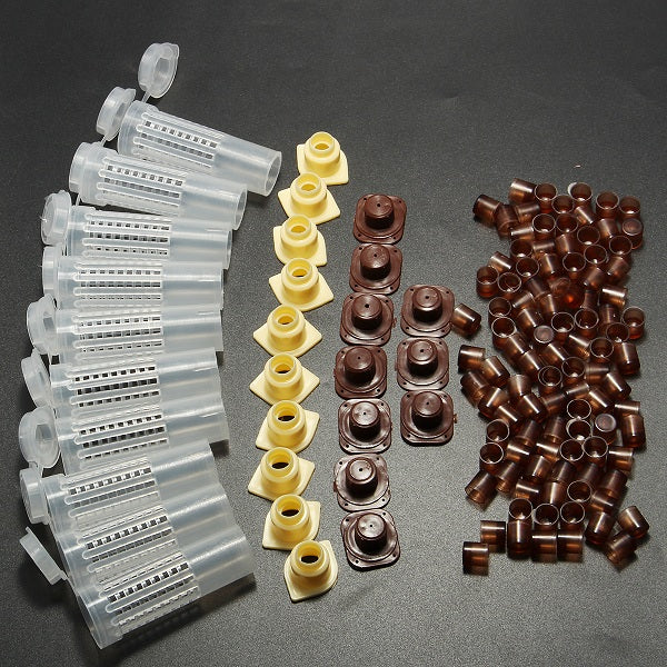 Rearing Cupkit Box Cupularve Tools Bee Keeper Tools Apiculture Bee Tool Set Beekeeping