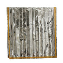 Emergency Aluminized Sunshade Blanket First Aid Insulation Sleeping Bag Outdoor Camping Survival 100 x 200cm