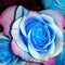 100 PCS Blue Dragon Rose Seeds Rare Beautiful Stripe Rose Bush Plant Garden