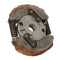 KTM 50 Clutch Assembly For 49CC KTM Air Cooled Morini