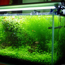Egrow 1000Pcs/Bag Aquarium Plants Seeds Artificial Aquarium Plant Decoration Fish Tank Submersible