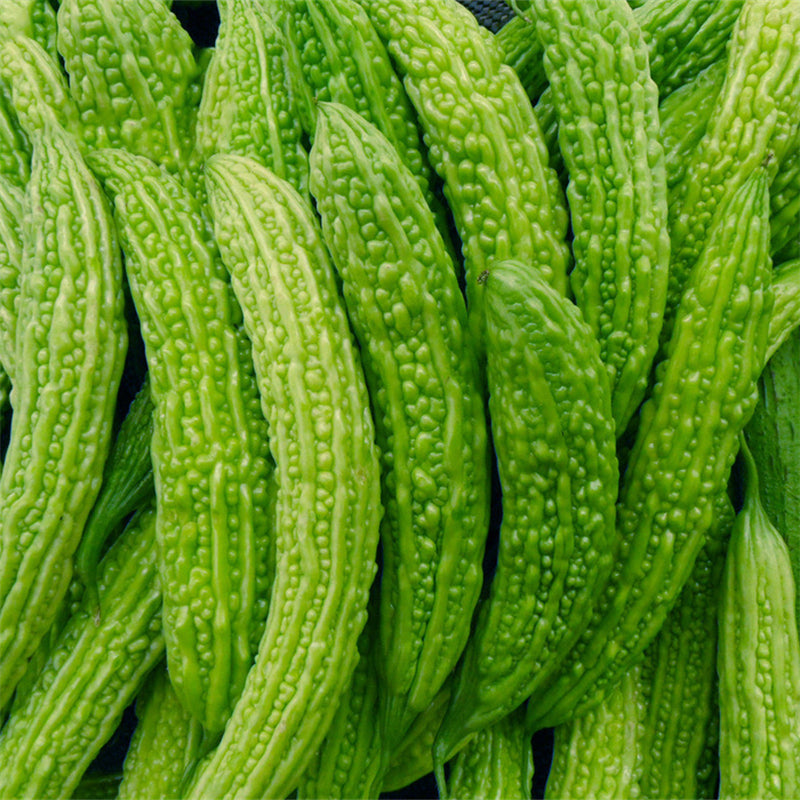 Egrow 20pcs/Bag Bitter Melon Seeds Long Balsam Pear Seeds Summer Terrace Potted Vegetables Seeds