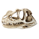 Crafts Dinosaur Resin Skull Fossil Model Home Office Water Aquarium Party Decorations