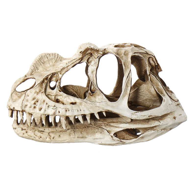 Crafts Dinosaur Resin Skull Fossil Model Home Office Water Aquarium Party Decorations