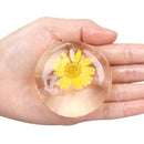 Handmade Cleansing Flowers Soap Transparent Amino Acid Natural Organic Pure Soap