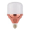 E27 10W 15W 20W 30W 40W Rose Gold LED Bulb 2835SMD Aluminum Lamp Home Garage Shopping Mall Lamp AC145-265V