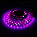 5M 45W 150SMD WS2812B LED RGB Colorful Strip Light Waterproof IP65 White/Black PCB DC5V