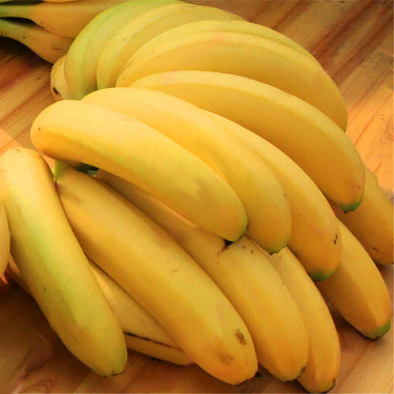 Egrow 200Pcs Garden Banana Seeds Outdoor Dwarf Fruit Trees Banana Milk Taste Perennial Potted Fruit