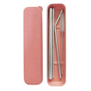 Stainless Steel Metal Drinking Straw Reusable Juice Pipe + Cleaner Brush + Box