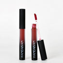 12 Colors Matte Metallic Velvet Lip Gloss Makeup Long Lasting Waterproof