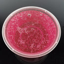 Crystal Mud Transparent Color Mud Clay Non-toxic Children Silly Putty Safty Health Slime Toy