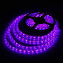 5M 72W DC 12V Waterproof IP65 5050 SMD 300 Red/Blue/White/RGB Flexible LED Party Strip Light