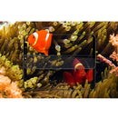 Mofi 3D Curved Edge Tempered Glass Full Cover Screen Protector for Xiaomi Pocophone F1