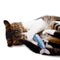 Yani 30cm Large Size  Interactive Pets Pillow Catnip Toys Simulation Plush Fish Shape Doll Chew Bite Cat Toys