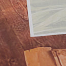 Fall Thanksgiving Backdrop Photography Video Background Pumpkins Studio Prop