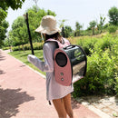 Pet Parrot Bird Carrier Travel Backpack Space Capsule Transparent Handbag Bag