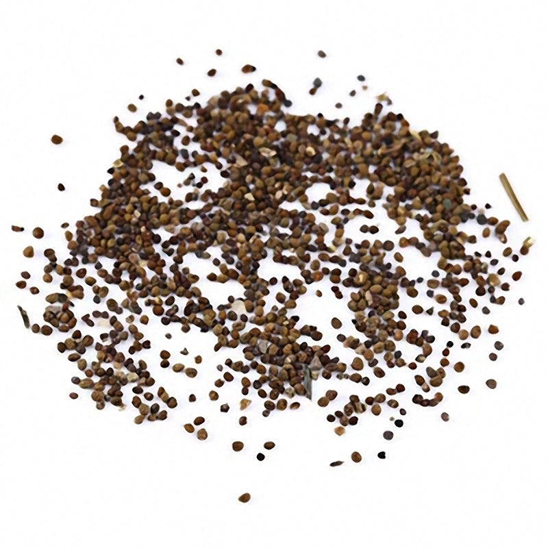 Egrow 100 PCS Blue Lithops Perennial Pseudotruncatella Seeds Kyanite Succulent Garden Plants Seed