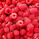 Egrow 4000 Pcs/Pack Mixed Color Raspberry Seeds Each 1000 Pcs for Blue Black Red Yellow Fruit Seed