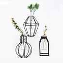 Glass Test Tube Flower Plant Pot Vases Fairy Hydroponic Vase Terrarium Container