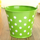 Mini Polka Dot Iron Sheet Flower Pot Flower Potted Plant Flowerpot Garden Decoration
