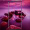 Bakeey 3D Curved Edge Hydrogel Fingerprint Resistant Screen Protector For Samsung Galaxy S8 Plus