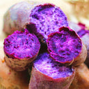 Egrow 20Pcs/Bag Sweet Potato Seeds Fresh Food Vegetable Farm Garden Plants Red Purple Potato Seed