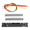 Mini Dual 12 Level Indicator VU Meter Stereo Amplifier Board Adjustable Light Speed Board With AGC Mode DIY Kit