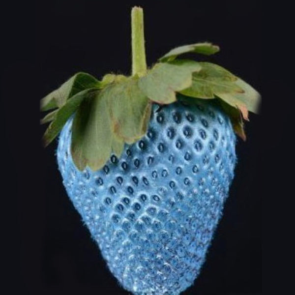 500Pcs Green Strawberry Seeds Fruit Seeds Garden Seeds