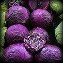 Egrow 100Pcs/Pack Purple Cabbage Seeds Organic Seasons Healthy Vegetable Plants